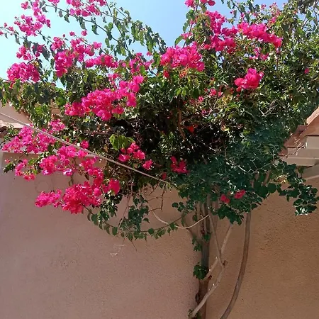 Menegis Zakynthos Town