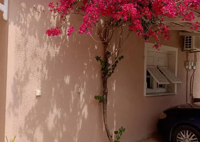 Appartement Menegis *